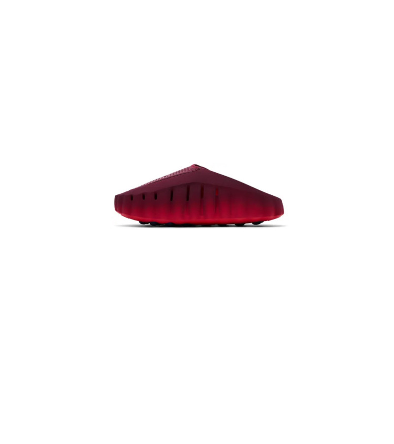Mind 001 Slide Team Red University Red